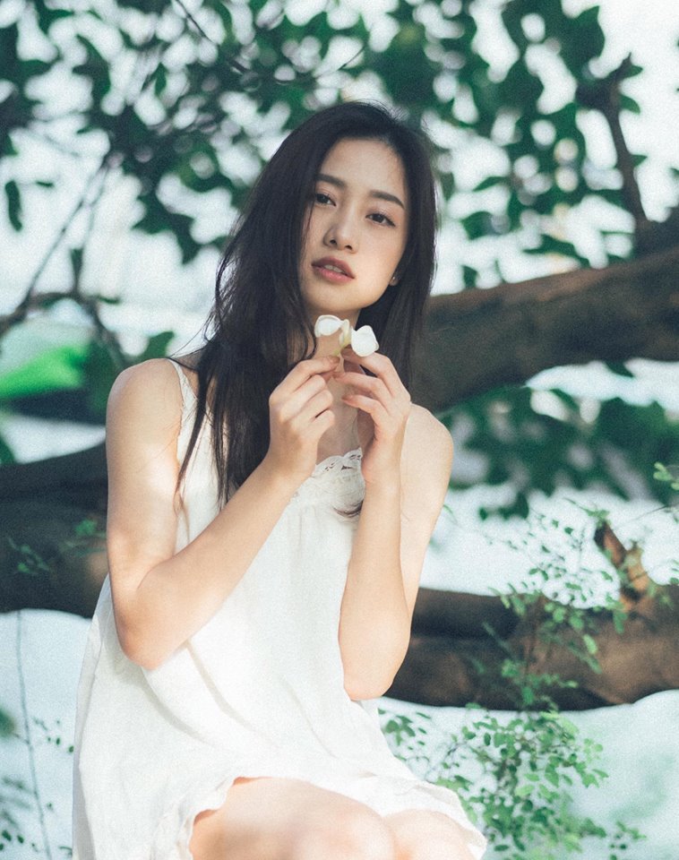 会长大人是女仆